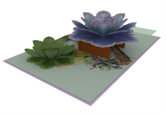 Succulent Pop Up Card