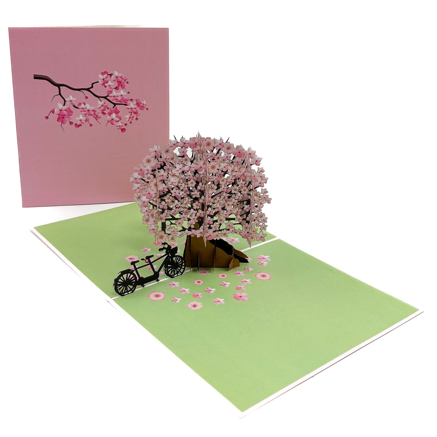 桜かおり　3D ART Tama Cherry Blossom Pop-Up Card – Chao Cards