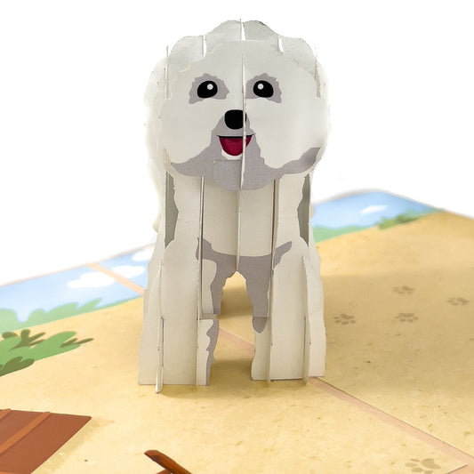Bichon Frise Pop-Up Card