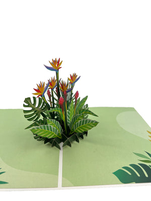 Birds of Paradise Pop-Up Card