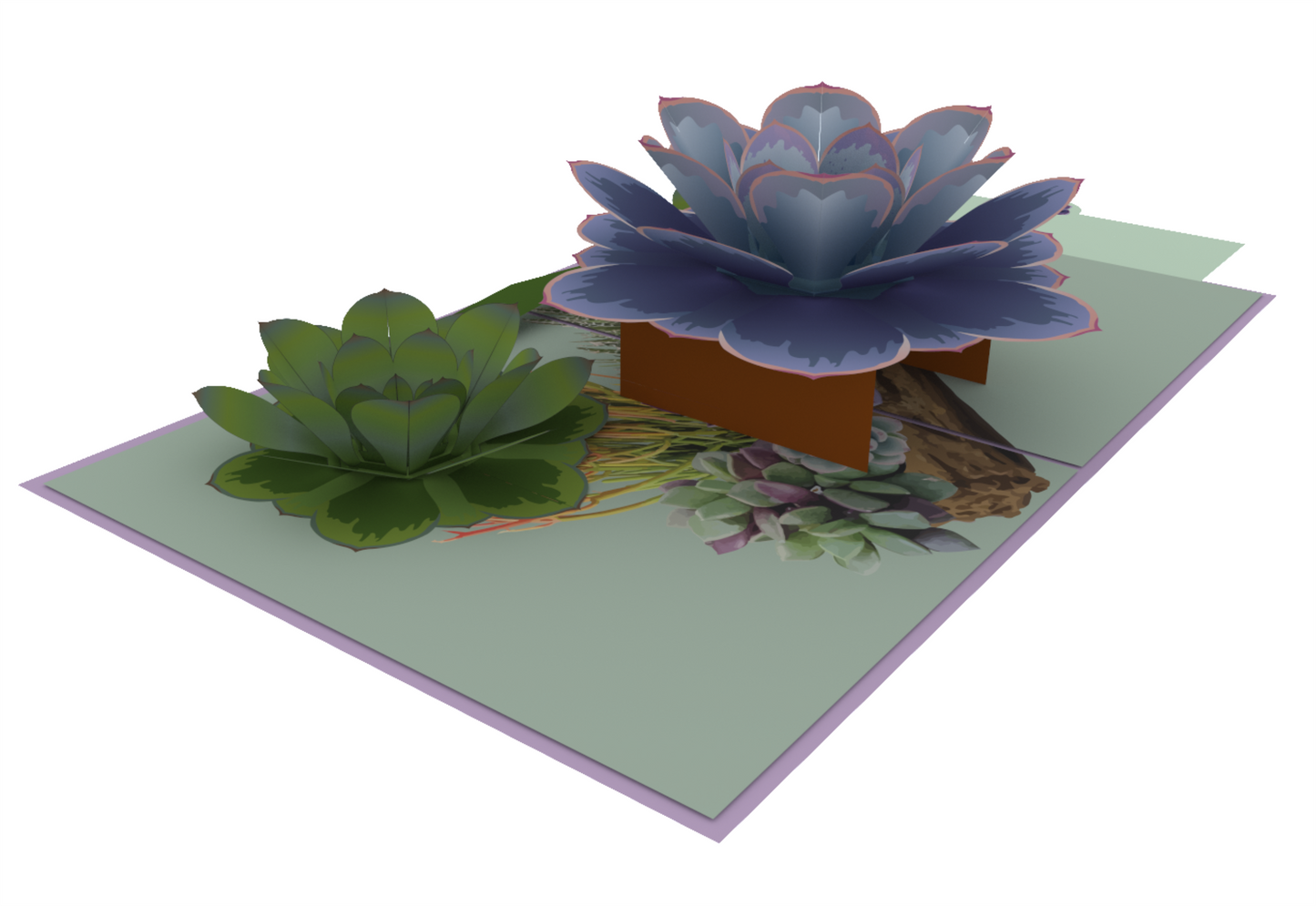 Succulent Pop Up Card