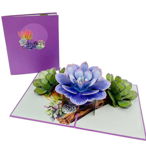 Flowers Cards Collection  3D Cards Collection – Chao Cards