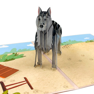 Siberian Husky Pop-Up Card
