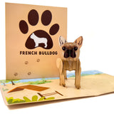 French Bulldog Pop-Up Card