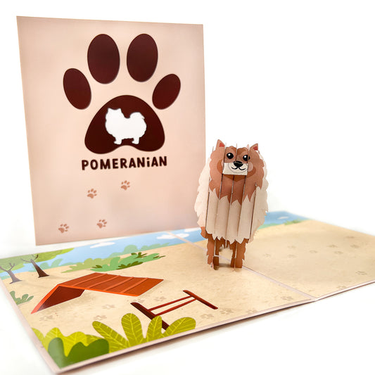 Pomeranian Pop-Up Card