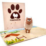 Pomeranian Pop-Up Card
