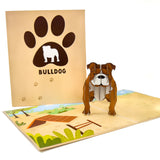 Bulldog Pop-Up Card