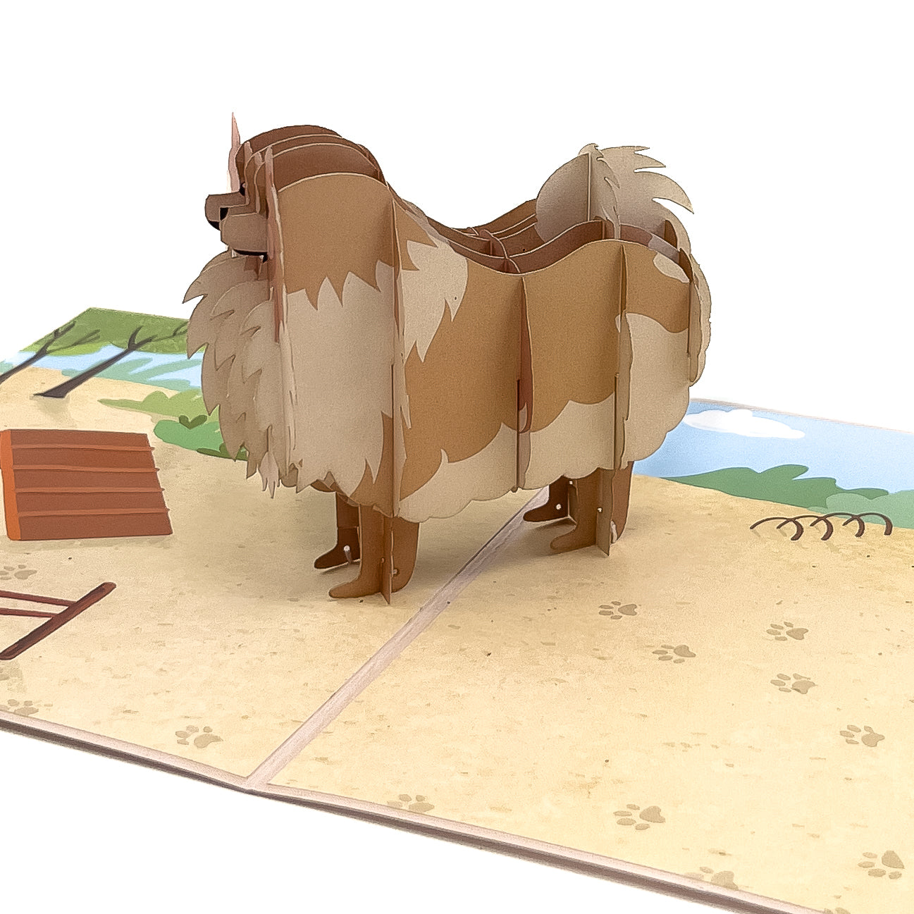 Pomeranian Pop-Up Card