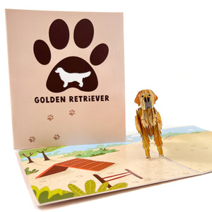 Golden Retriever Pop-up Card