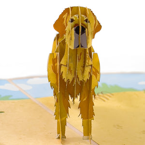 Golden Retriever Pop-up Card