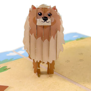 Pomeranian Pop-Up Card