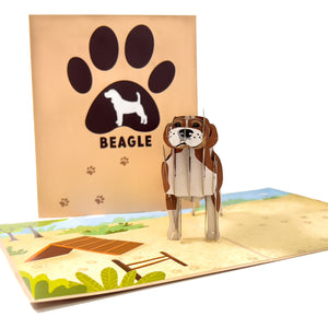 Beagle Pop-Up Card