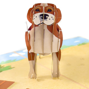 Beagle Pop-Up Card