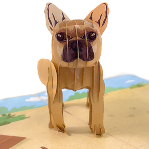 French Bulldog Pop-Up Card