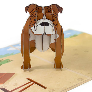 Bulldog Pop-Up Card