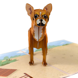 Chihuahua Pop-Up Card