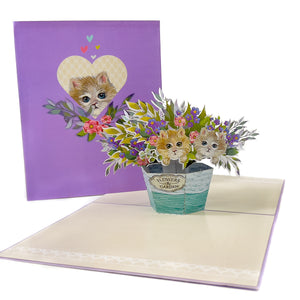 Cats In A Bucket Pop-Up Card
