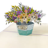 Cats In A Bucket Pop-Up Card